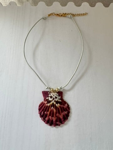 Calico Shell - White