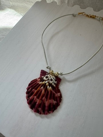 Calico Shell - White