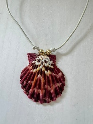 Calico Shell - White